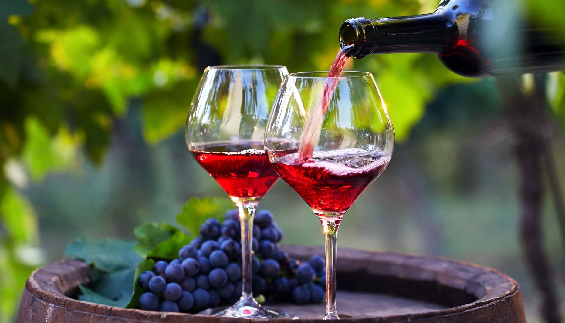 Wine Soaps